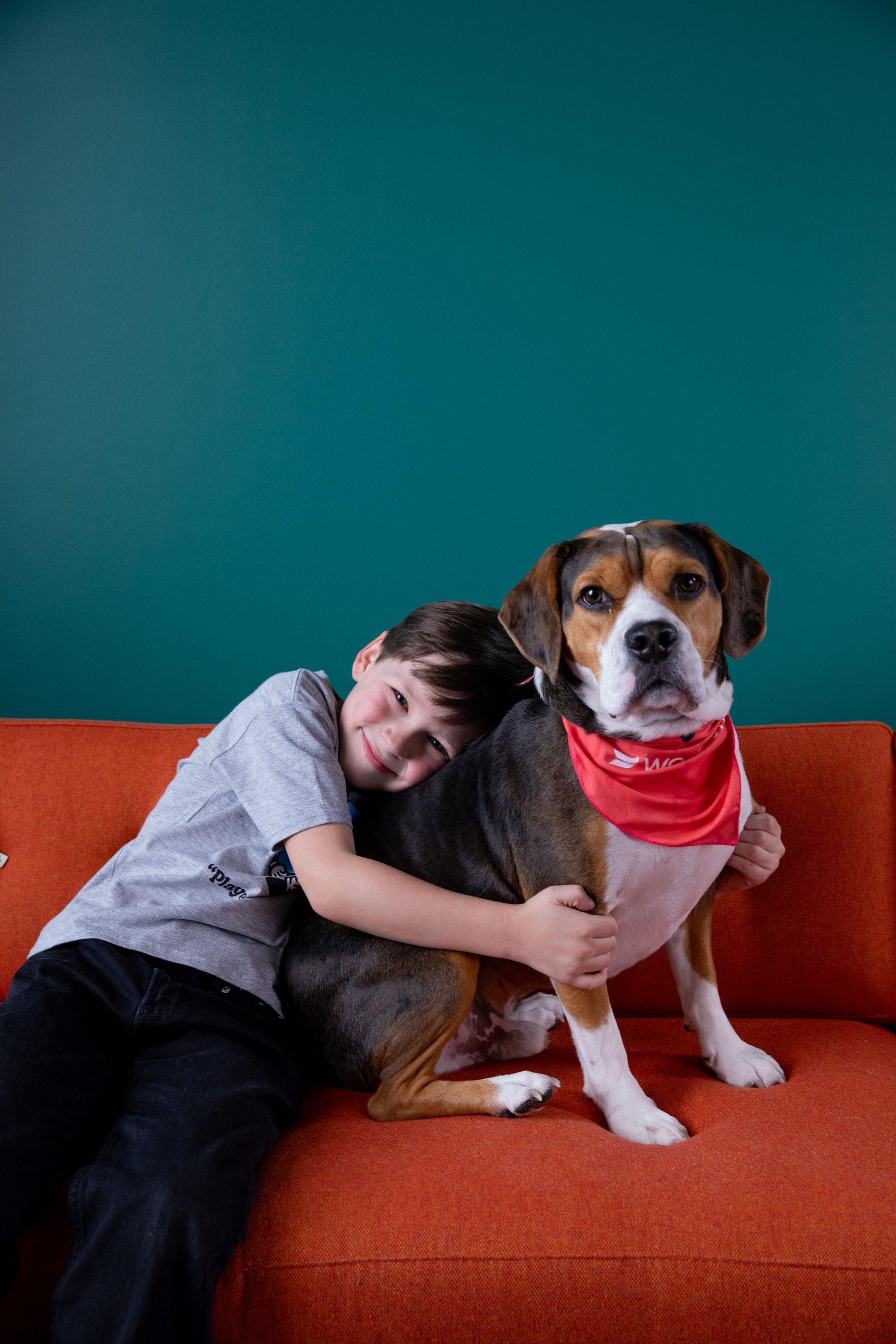 Dog Bandana