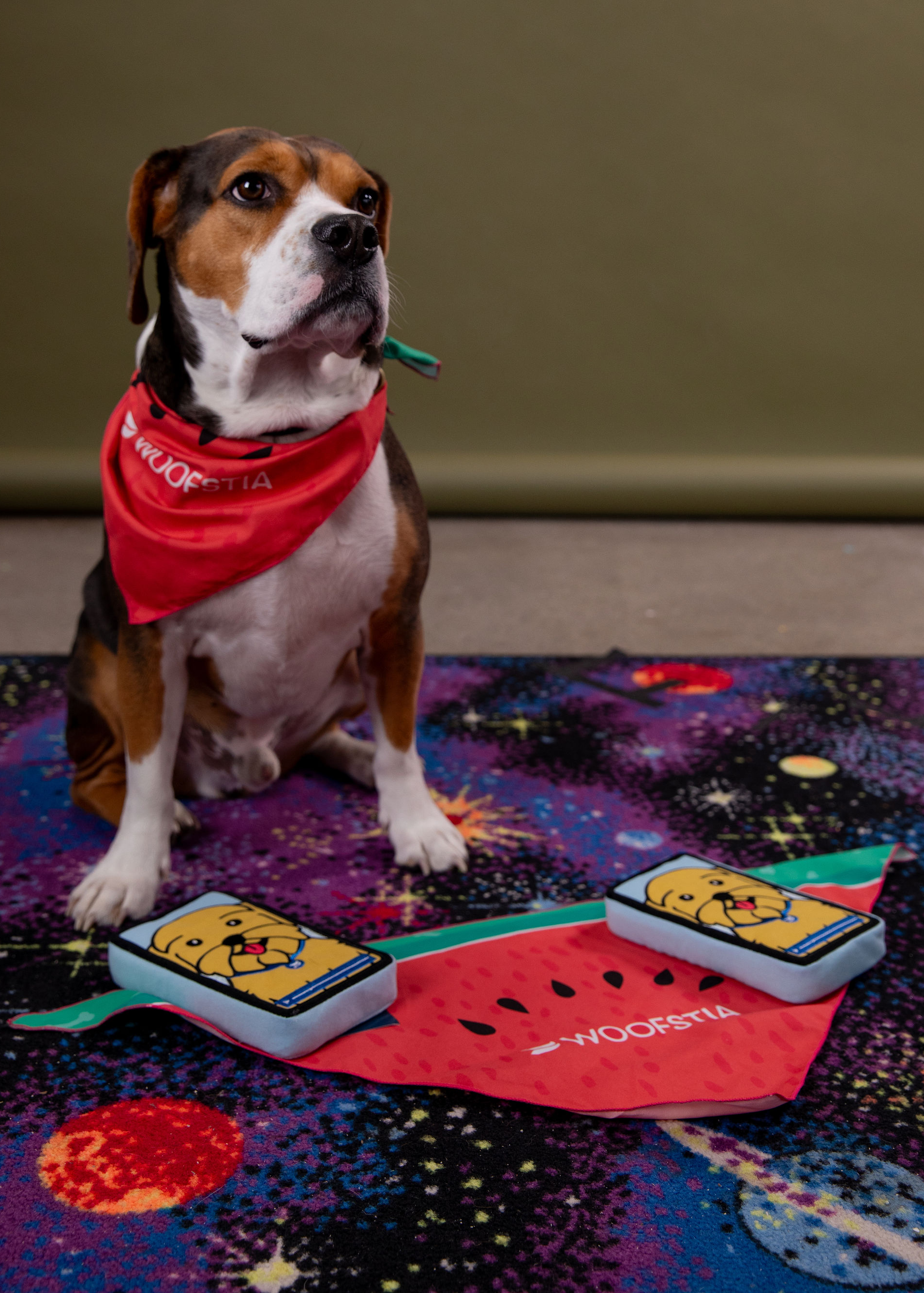 Dog Bandana